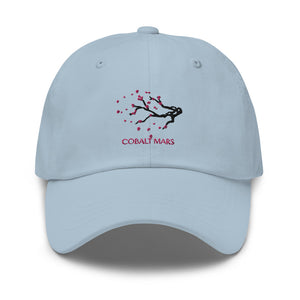 Red Skies - Hat