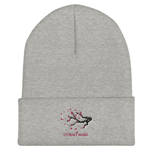 Red SkiesCuffed Beanie