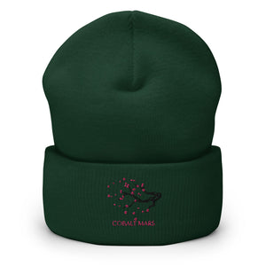Red SkiesCuffed Beanie