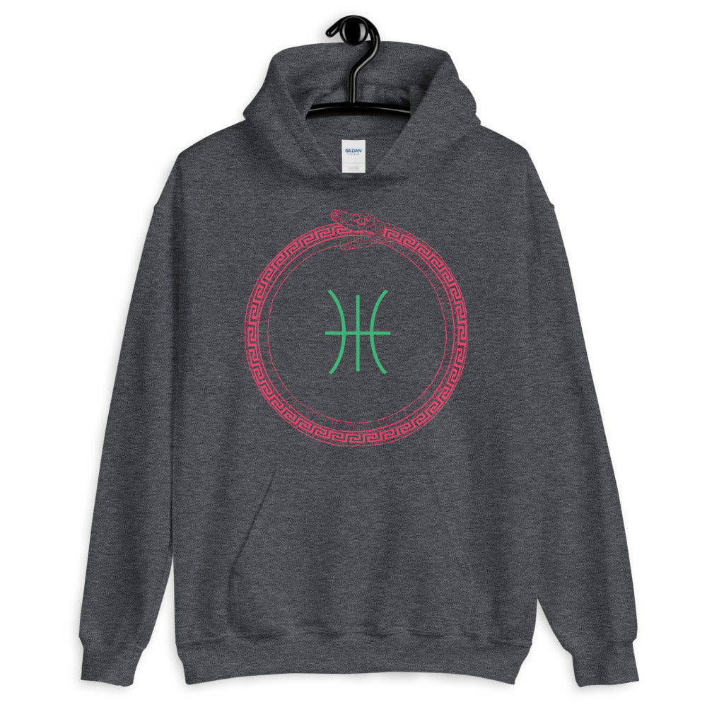 Apollo Eternal - Unisex Hoodie