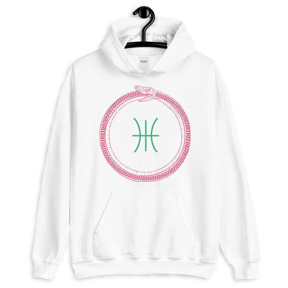 Apollo Eternal - Unisex Hoodie