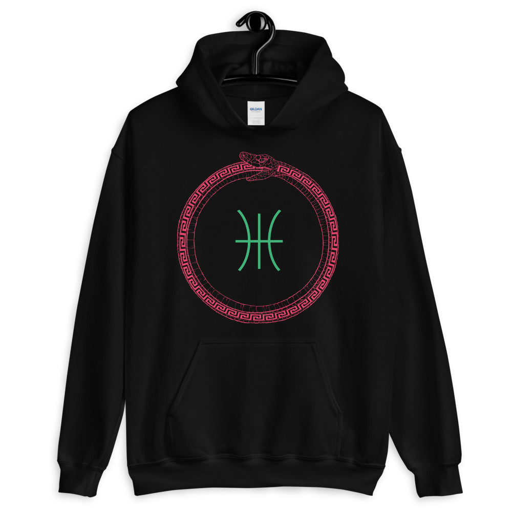 Apollo Eternal - Unisex Hoodie
