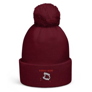 Just A Taste - Pom pom beanie