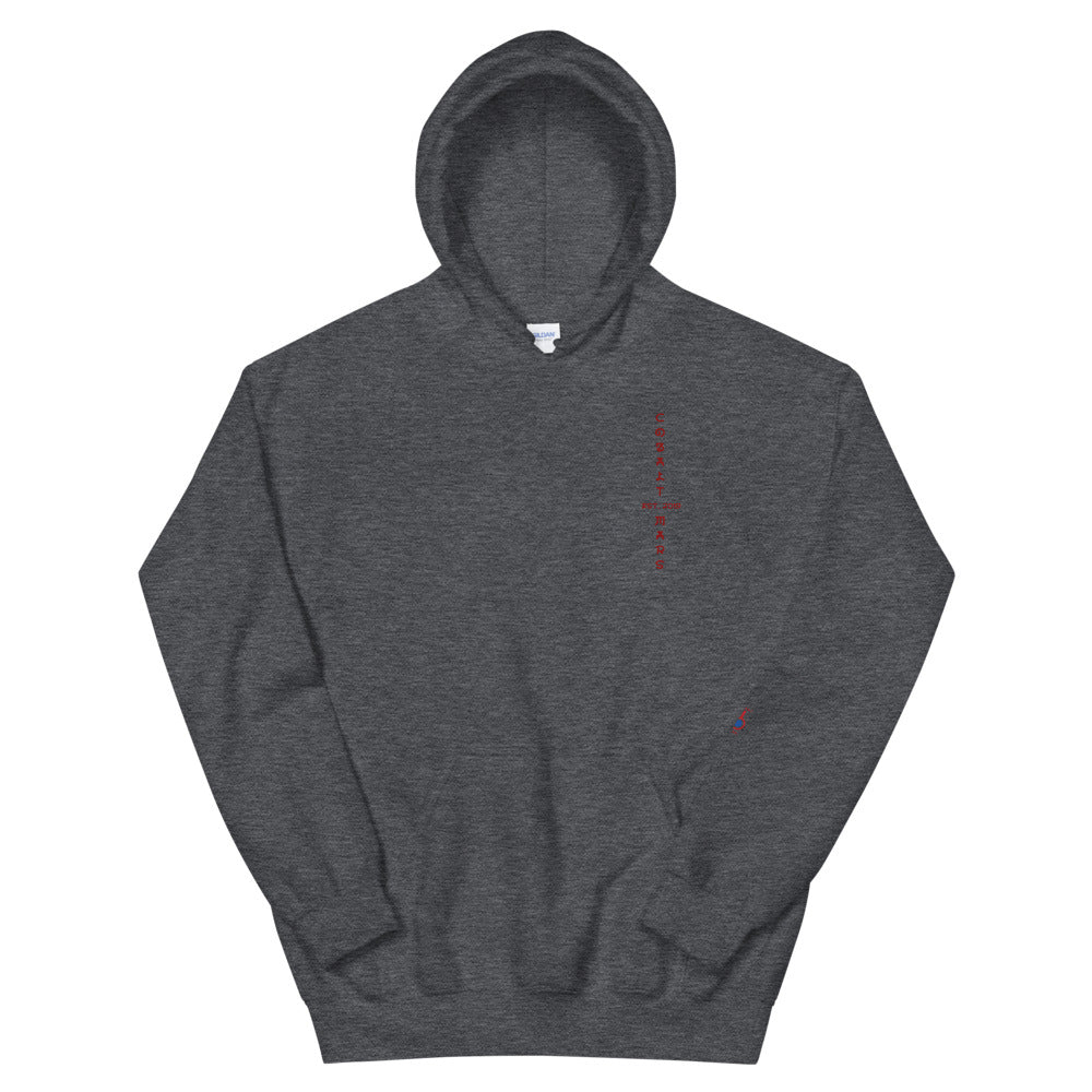 RYŪ - Unisex Hoodie