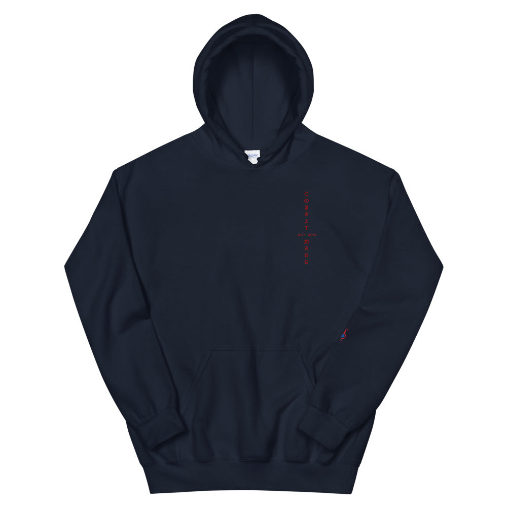 RYŪ - Unisex Hoodie